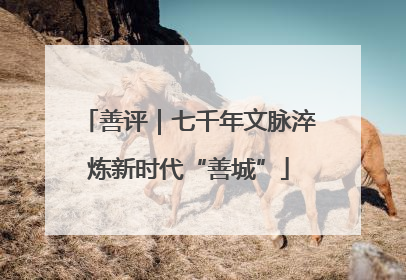 善评｜七千年文脉淬炼新时代“善城”